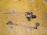 Моторчик привода дворниками HONDA HR-V GH1/GH2/GH3/GH4 F с трапецией