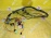 Коса ДВС BMW M54B30/306S3 X5 E53 '-10.2002 на акпп GM 5L40E 12517503617