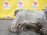 Раздатка Audi Q7 4LB '2012 3.0 TDi  4WD 8AT TR-81SD MTP 0BU341010N