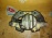 Суппорт Peugeot 207 EP6C/5FS/5F01 перед, прав Bosch 0204YC1145 с креплением под диск 283 мм 4400R9
