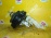 Вакуумный усилитель Peugeot 207 EP6C/5FS/5F01 в сборе с ГТЦ 9681847980 4535CE