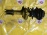 Стойка Subaru BM9/BMG/BMM/BR9/BRM/BRG Legacy перед, прав Bilstein