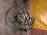 АКПП Toyota/Hino N04C 35010-37D80-00   A860E 2WD 24V Dyna '2008-