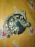 Генератор Chevrolet LBM/LX20D1/LF3/X20D1/LF4/X25D1 Epica V250 2.0L 2.5L 120A HJ 2 контакта (дефект фишки) 96647269
