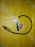Датчик кислородный BMW M54B25/M54B30 X3 E83 R в 4к (4-6) L=700mm 0258005337 11783413464
