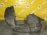 Подкрылок Volvo S60/V60 FS/FW '2010-2013 перед, лев 31353518