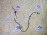Датчик ABS Subaru Legacy/Outback BR9/BM9 БЕЗ ФИШКИ зад, прав 27540AJ020
