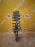 Стойка Chevrolet J200/35 Lacetti L88/U20SED перед, прав Универсал WM 96425341