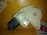 Мотор стеклоподъемника Mercedes C-Class W204/W212 перед, лев A2048200142