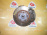 Ступица Toyota MNH15/ANH15 Alphard перед, прав 4WD ABS. В сборе. 43211-58020
