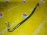 Трубка кондиционера Volvo FS/AS/FW/BW S60 B4164T '2007-2015 от компрессора в салон 31332343