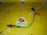 Датчик кислородный Opel LUJ/A14NET Astra J в 4к 0258010121 93189974