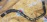 Патрубок радиатора печки Toyota 87245-1A210 / 87245-1A211 / 87245-1A670 Corolla EE90/EE106/EE111 2E/3E/4E/5E нижний с помпы на радиатор печки