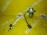 Вакуумный усилитель тормозов Jeep P04581672AC Cherokee KL Pentastar/EHB '2013- 3.2L V6 4WD 9AT