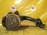 Ступица Mini Cooper R50/R52/R53 '2000-2008 W10B16AB зад, лев ABS в сборе