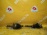 Привод SsangYong DJ/GAB/Y250 Kyron перед, прав Rexton AWD '2006-2012 4130009214