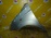 Крыло Chevrolet Spark M200/M250 '2005-2010 перед, лев с повторителем (дефект, ржавчина) (Серебро)