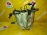 Коллектор впускной Chevrolet LD9/Z24SED Captiva C100 '2006- 92067388 92067387