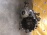 МКПП Nissan YD22-ETI 4WD 6 СТУПАЯ X-Trail T30