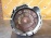 АКПП BMW X5 M57N/M57D30TU/306D2 4WD ZF 6HP26 LI 24007545773, 24007529964 E53 '2004