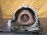 АКПП Audi A8 BFL 4WD ZF 6HP26 GQE 1030030032, 09E300035N D3/4E2 '2004