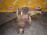 Раздатка Chevrolet LU1/Z32SE/10HM Captiva C100 '-2010 55-51 AF33 24240427