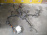 Коса ДВС Toyota 1ZZ-FE Voltz ZZE136 2WD a/t + компьютер 89661-01070 (A246E 5 конт.), мех. заслонка 82121-01030