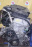 Двигатель Suzuki M15A-1166648 90 т км SX4 VVTI  2 КАТ