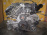 Двигатель BMW X3 M54B25/256S5-25185923 4WD 3.0i PA72 БЕЗ НАВЕСНОГО E83 '2005