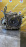 АКПП Honda K24Z3 M8SA 2WD 5 SPEED Accord CU2