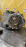 АКПП Toyota 2ZR K311F  30140-12100 4WD CVT 9 конт БЕЗ РАЗДАТКИ Corolla ZRE144