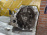 МКПП Nissan HR16 RS5F91RFY40 2WD 32010-EL02C / 32010-ED413 / 32010-00Q7D Tiida/Note C11 ZE11
