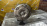 АКПП Toyota 2JZ-GE 3550LS муфта (A650E) 35000-3F540/-3F442/-3F810/-3F630 2WD 12 контактов без колокола Aristo JZS160