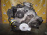 Двигатель Jeep Grand Cherokee EVA-Б/Н 4.7L PowerTech 53021774FA WH/WK '2005-2011