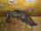 Подкрылок TOYOTA Caldina AT210 перед, лев Дефект 53876-21020