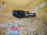 Фланец кардана Subaru Legacy BH9 EJ254 F m/t