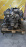 Двигатель Honda G25A-1506803 SILVER БЕЗ ГУРА ГЕНЕРАТОРА  КОНДЕРА Inspire UA2