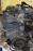 Двигатель Honda G25A-1500265 SILVER Inspire UA2 без навесного