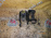 Подушка редуктора Honda Partner EY8 4WD Задняя R 50721-SH9-010