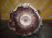 АКПП Audi A6 BDW 2.4 2WD CVT JFH 43/9 01J300057 C6/4F2/4F5 '2007