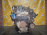 Двигатель Hyundai Tucson D4EA-7H778477 2.0L CRDi VGT Euro 4 AT С НАВЕСНЫМ JM/BH/KM/JE/FQ '2007
