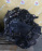 Двигатель Toyota 3C-TE-3581201 4WD Caldina/Corona Premio/Carina CT216