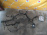 Коса ДВС Toyota 3S-FSE Corona Premio ST210 '08.1998- a/t A247E + комьютер 89661-2G190 + 89871-20020 (под тнвд 23100-74030) 82121-2M323
