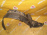 Подкрылок NISSAN AD/Wingroad Y11 перед, прав LA10 5111-100