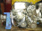 Двигатель Honda K20A-6041297 БЕЗ КОНДЕРА (155л.с) Accord CL7-3201039