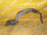 Подкрылок HONDA Accord CL7/CM2 перед, прав дефект 74101-SEAX-0000
