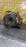 АКПП MITSUBISHI 4G15/4G63/4G93/6A12 F4A222MRF3 2WD БЕЗ БУБЛИКА