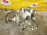 Раздатка Nissan YD22 Wingroad Y11 m/t ФЛАНЕЦ 33100-4N210