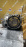 АКПП Toyota/Lexus 1MZ U140F  30500-48020  30500-48021 4WD ЦЕНА БЕЗ РАЗДАТКИ  JAPAN Harrier MCU15 '1998-2003