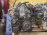 Двигатель Honda D17Z1-2911111 НЕ VTEC В СБОРЕ Civic